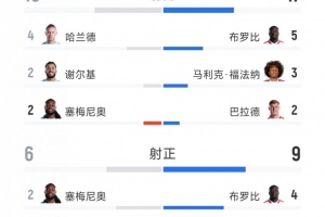 曼城5-3桑德兰全场数据:射门16-17,射正6-9,得分机会3-6